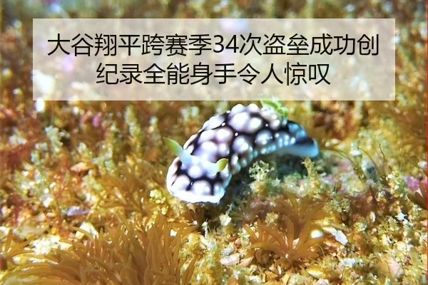 da-gu-xiang-ping-kua-sai-ji-ci-dao-lei-cheng-gong-chuang-ji-lu-quan-neng-shen-shou-ling-ren-jing-tan-2-115.jpg