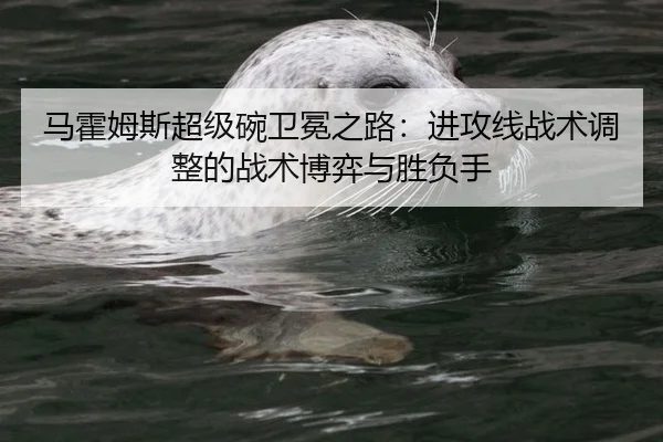 马霍姆斯超级碗卫冕之路：进攻线战术调整的战术博弈与胜负手